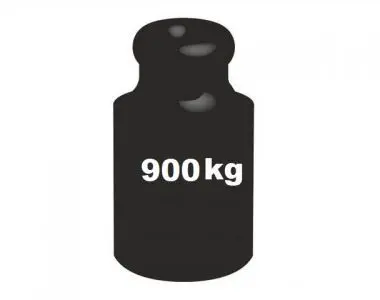 Niewiadow Wohnwagen Auflastung 900kg